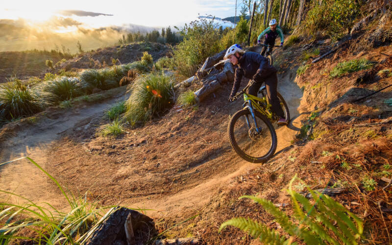 Rotorua_Mountain Biking