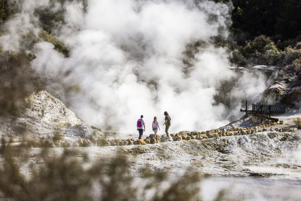 Rotorua_Hells Gate Geothermal Park