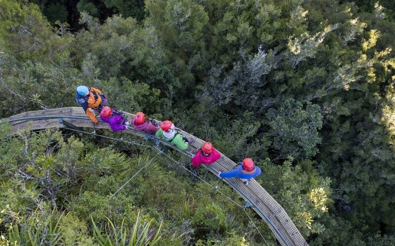 Rotorua Canopy Tours_Group Tour